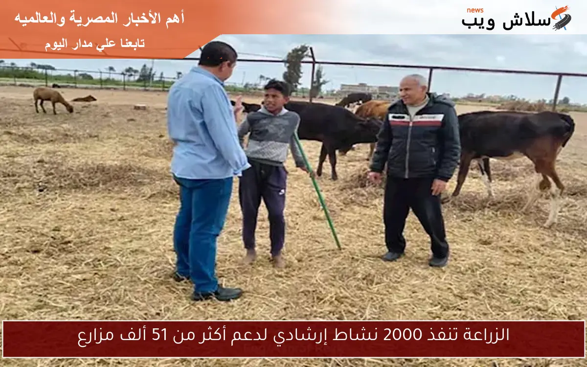 الزراعة تنفذ 2000 نشاط إرشادي لدعم أكثر من 51 ألف مزارع 2 الزراعة تنفذ 2000 نشاط إرشادي لدعم أكثر من 51 ألف مزارع