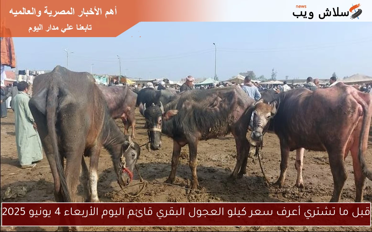 قبل ما تشتري أعرف سعر كيلو العجول البقري قائم اليوم الأربعاء 4 يونيو 2025 2 قبل ما تشتري أعرف سعر كيلو العجول البقري قائم اليوم الأربعاء 4 يونيو 2025