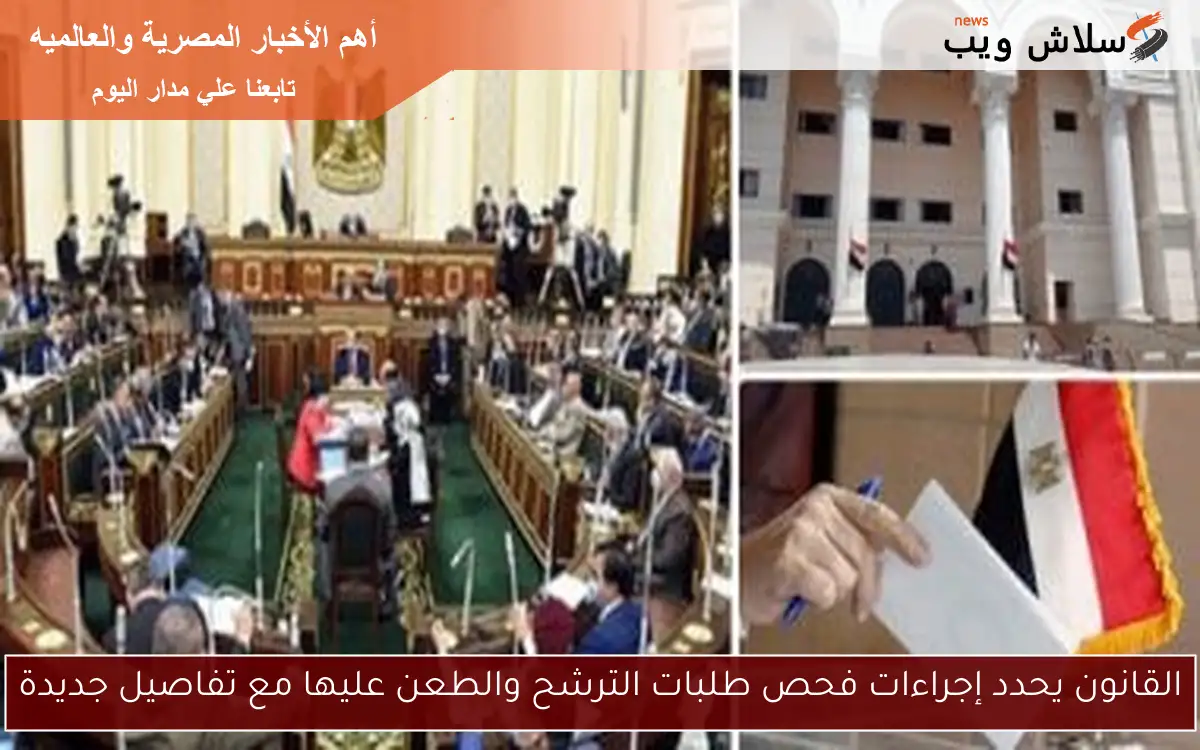 القانون يحدد إجراءات فحص طلبات الترشح والطعن عليها مع تفاصيل جديدة 2 القانون يحدد إجراءات فحص طلبات الترشح والطعن عليها مع تفاصيل جديدة