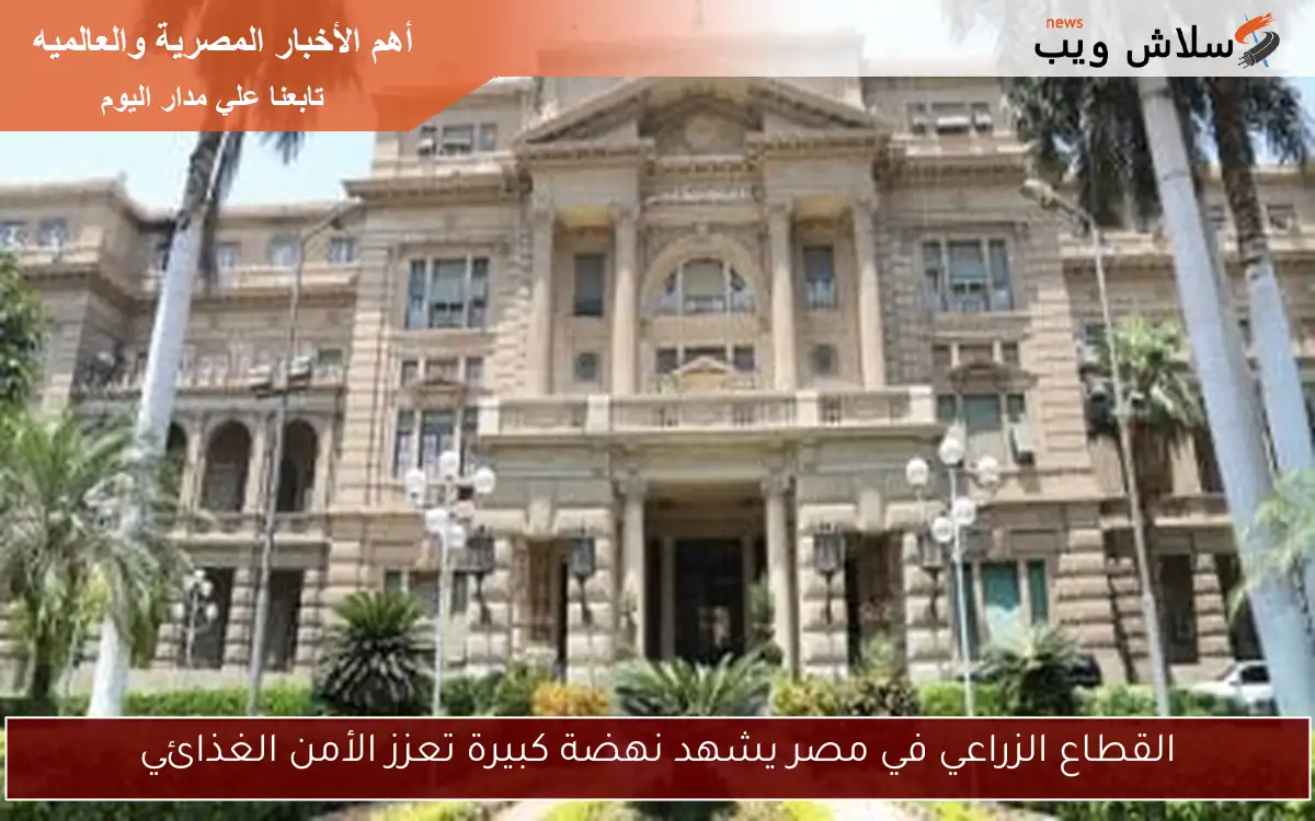 القطاع الزراعي في مصر يشهد نهضة كبيرة تعزز الأمن الغذائي