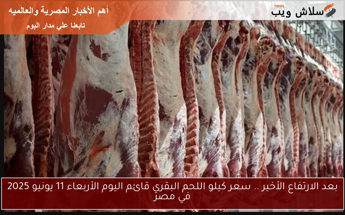 بعد الارتفاع الأخير .. سعر كيلو اللحم البقري قائم اليوم الأربعاء 11 يونيو 2025 في مصر 2 بعد الارتفاع الأخير .. سعر كيلو اللحم البقري قائم اليوم الأربعاء 11 يونيو 2025 في مصر