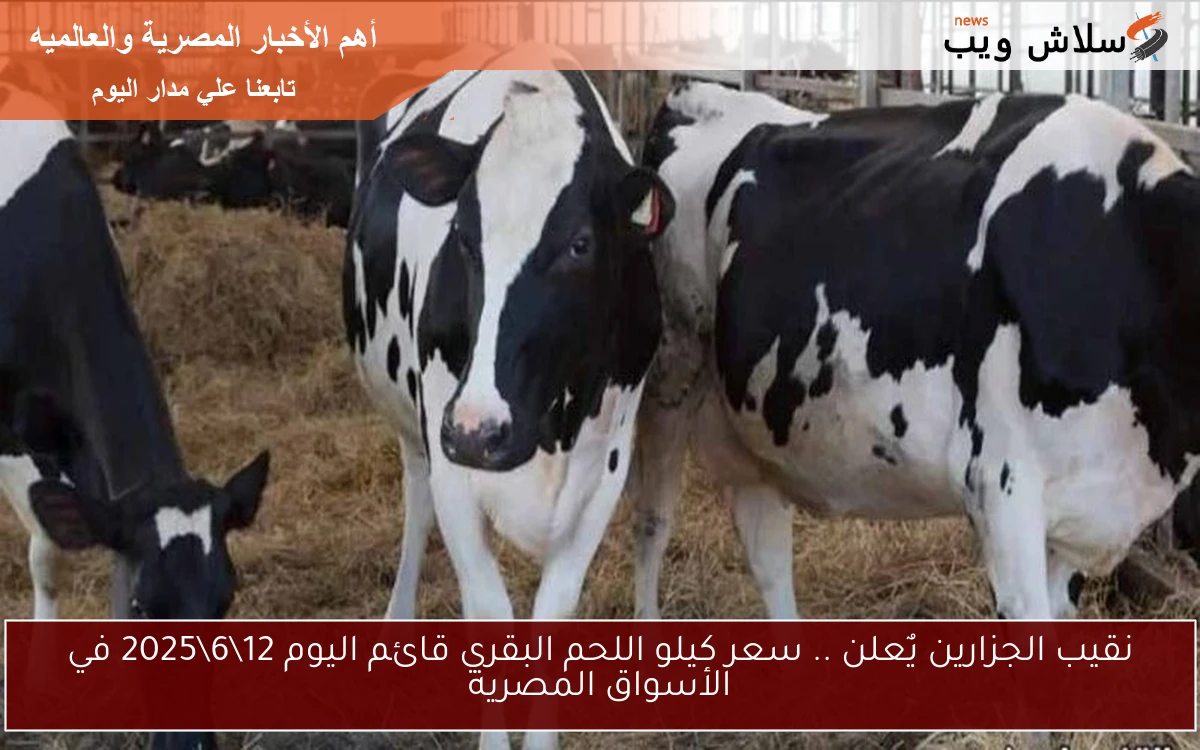 نقيب الجزارين يٌعلن .. سعر كيلو اللحم البقري قائم اليوم 1262025 في الأسواق المصرية 2 نقيب الجزارين يٌعلن .. سعر كيلو اللحم البقري قائم اليوم 12\6\2025 في الأسواق المصرية