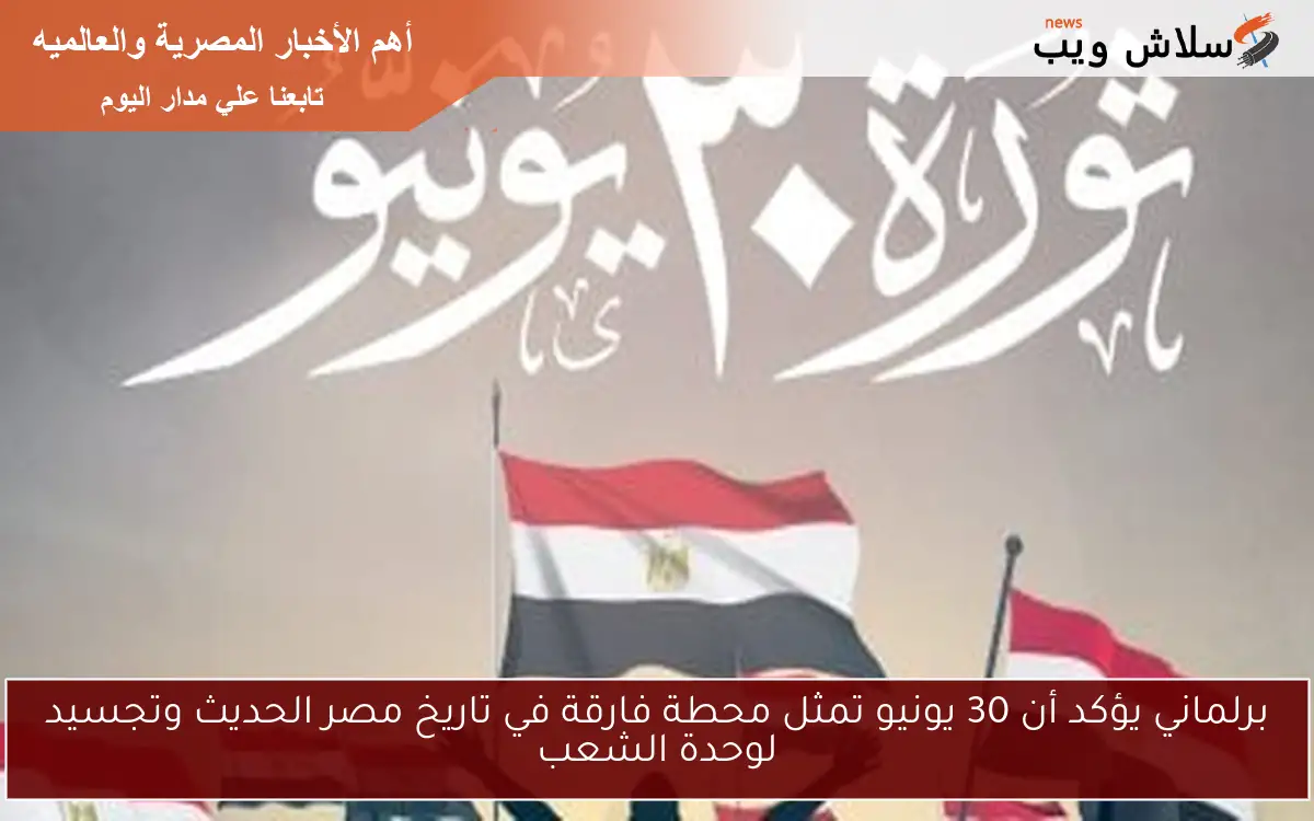 برلماني يؤكد أن 30 يونيو تمثل محطة فارقة في تاريخ مصر الحديث وتجسيد لوحدة الشعب