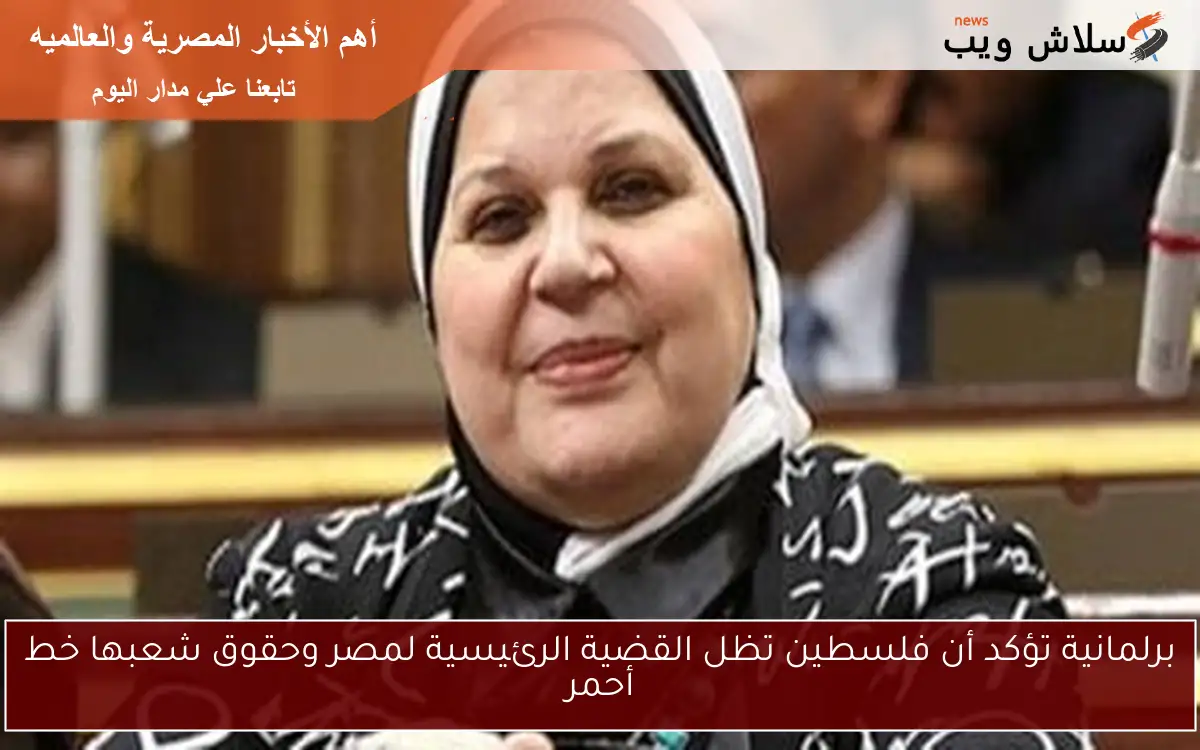 برلمانية تؤكد أن فلسطين تظل القضية الرئيسية لمصر وحقوق شعبها خط أحمر 2 برلمانية تؤكد أن فلسطين تظل القضية الرئيسية لمصر وحقوق شعبها خط أحمر