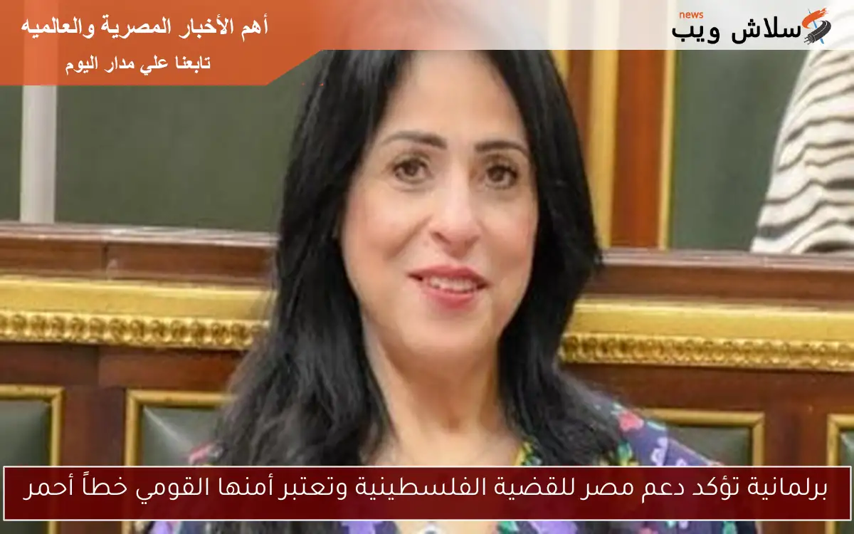 برلمانية تؤكد دعم مصر للقضية الفلسطينية وتعتبر أمنها القومي خطاً أحمر 2 برلمانية تؤكد دعم مصر للقضية الفلسطينية وتعتبر أمنها القومي خطاً أحمر