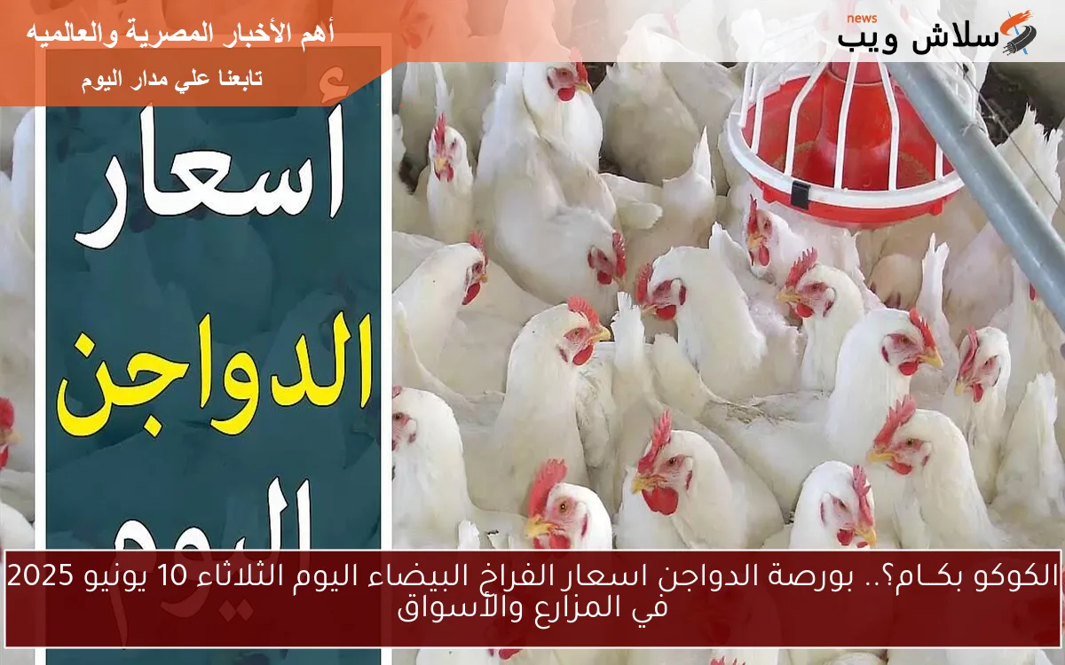 الكوكو بكـــام؟.. بورصة الدواجن اسعار الفراخ البيضاء اليوم الثلاثاء 10 يونيو 2025 في المزارع والأسواق 2 الكوكو بكـــام؟.. بورصة الدواجن اسعار الفراخ البيضاء اليوم الثلاثاء 10 يونيو 2025 في المزارع والأسواق