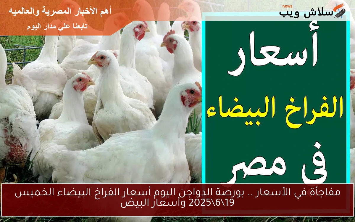 مفاجأة في الأسعار .. بورصة الدواجن اليوم أسعار الفراخ البيضاء الخميس 19\6\2025 وأسعار البيض