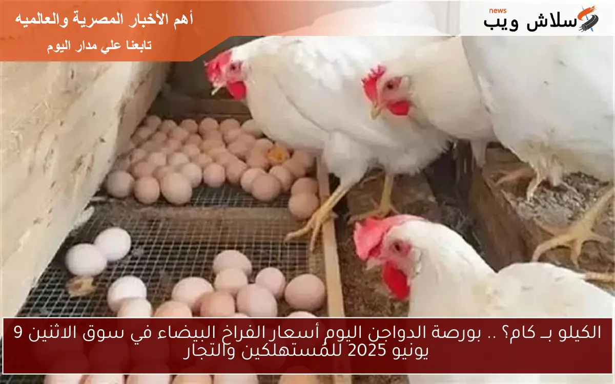 بورصة الدواجن اليوم أسعار الفراخ البيضاء الثلاثاء 3 يونيو 2025 في المزارع والمحلات 2 بورصة الدواجن اليوم أسعار الفراخ البيضاء الثلاثاء 3 يونيو 2025 في المزارع والمحلات