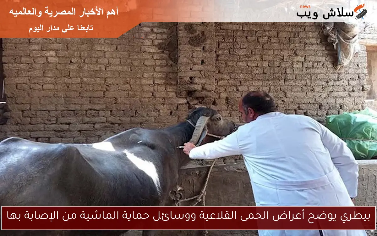 بيطري يوضح أعراض الحمى القلاعية ووسائل حماية الماشية من الإصابة بها 2 بيطري يوضح أعراض الحمى القلاعية ووسائل حماية الماشية من الإصابة بها