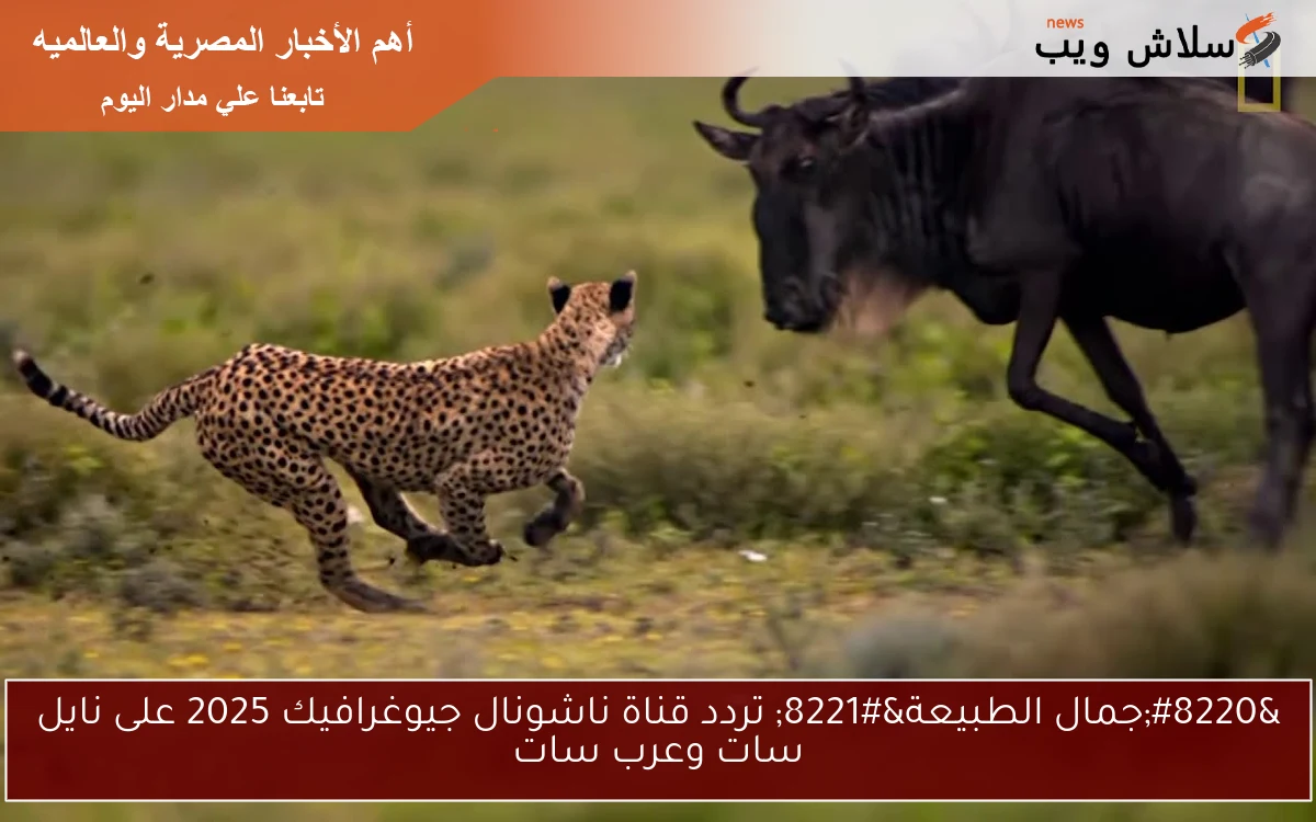 "جمال الطبيعة" تردد قناة ناشونال جيوغرافيك 2025 على نايل سات وعرب سات 2 “جمال الطبيعة” تردد قناة ناشونال جيوغرافيك 2025 على نايل سات وعرب سات