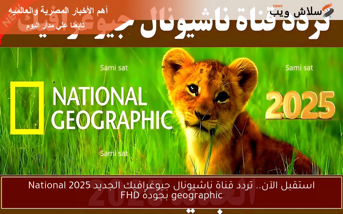 استقبل الآن.. تردد قناة ناشيونال جيوغرافيك الجديد 2025 National geographic بجودة FHD 2 استقبل الآن.. تردد قناة ناشيونال جيوغرافيك الجديد 2025 National geographic بجودة FHD