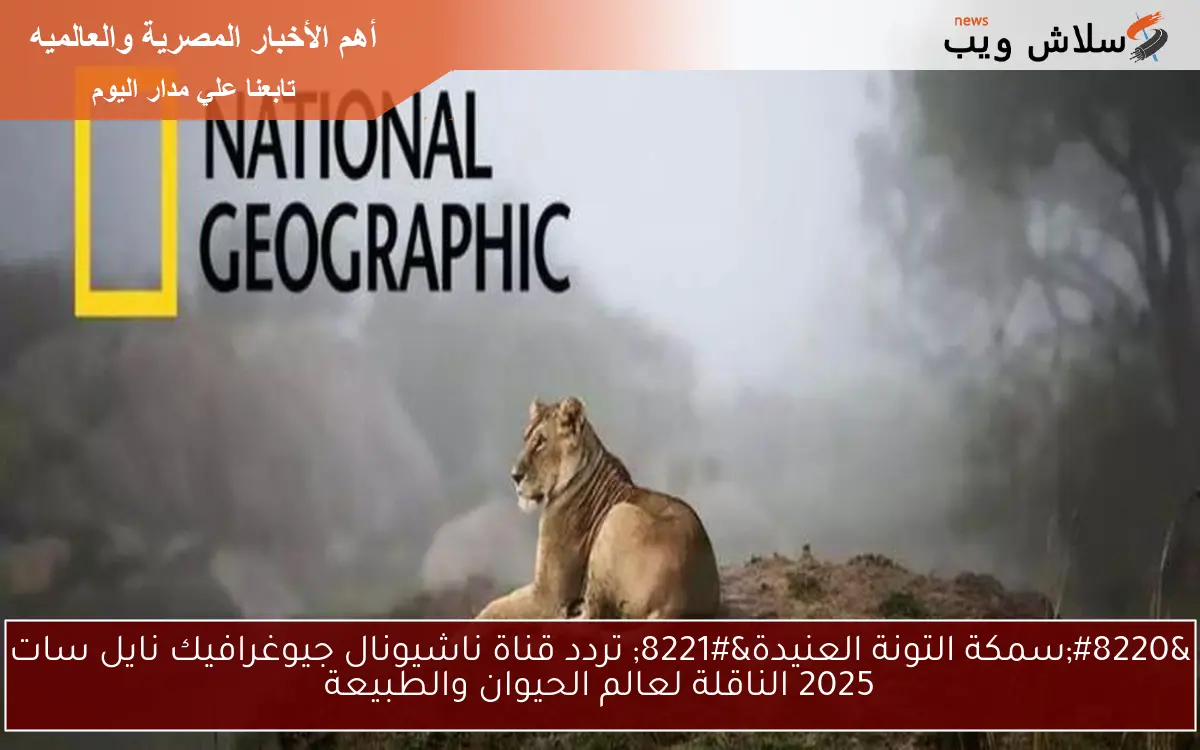 “سمكة التونة العنيدة” تردد قناة ناشيونال جيوغرافيك نايل سات 2025 الناقلة لعالم الحيوان والطبيعة