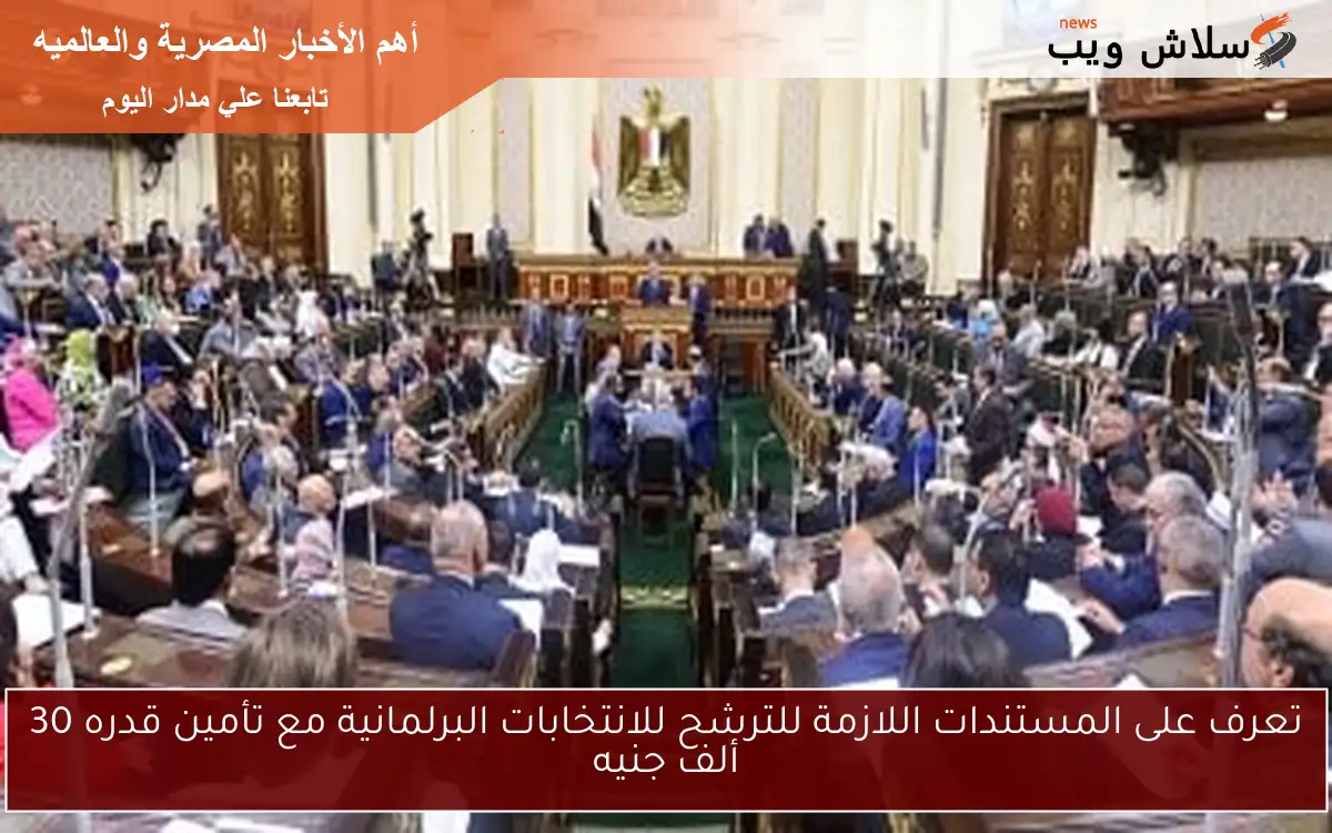تعرف على المستندات اللازمة للترشح للانتخابات البرلمانية مع تأمين قدره 30 ألف جنيه 2 تعرف على المستندات اللازمة للترشح للانتخابات البرلمانية مع تأمين قدره 30 ألف جنيه