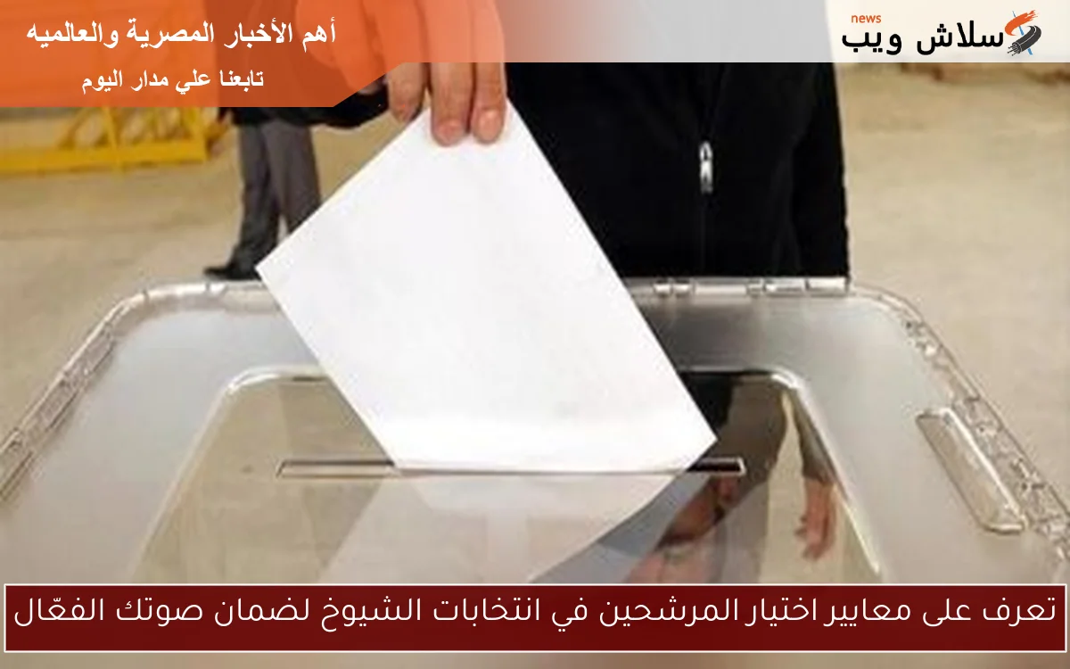 تعرف على معايير اختيار المرشحين في انتخابات الشيوخ لضمان صوتك الفعّال