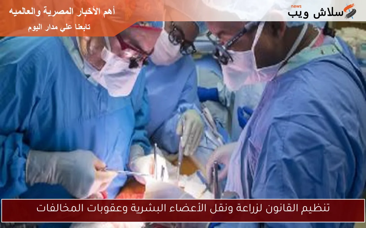 تنظيم القانون لزراعة ونقل الأعضاء البشرية وعقوبات المخالفات