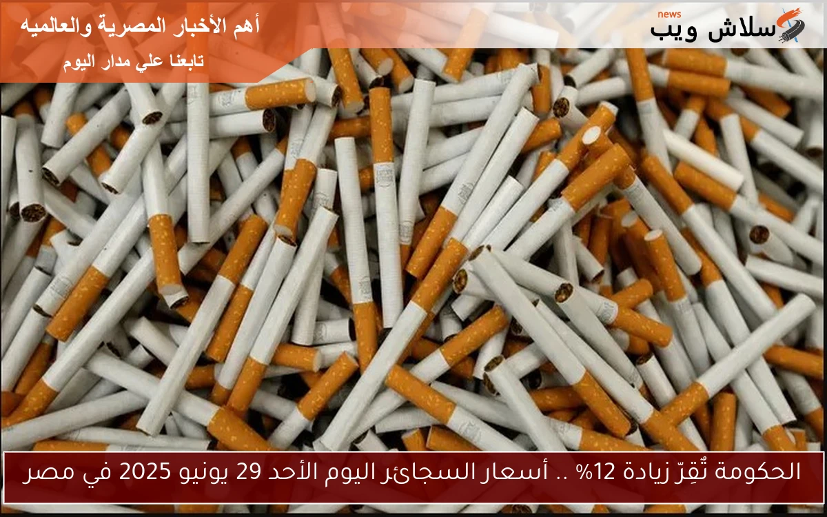 الحكومة تٌقِرّ زيادة 12% .. أسعار السجائر اليوم الأحد 29 يونيو 2025 في مصر 2 الحكومة تٌقِرّ زيادة 12% .. أسعار السجائر اليوم الأحد 29 يونيو 2025 في مصر