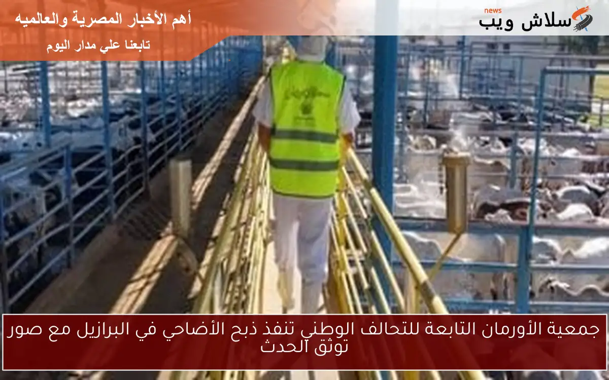 جمعية الأورمان التابعة للتحالف الوطني تنفذ ذبح الأضاحي في البرازيل مع صور توثق الحدث 2 جمعية الأورمان التابعة للتحالف الوطني تنفذ ذبح الأضاحي في البرازيل مع صور توثق الحدث