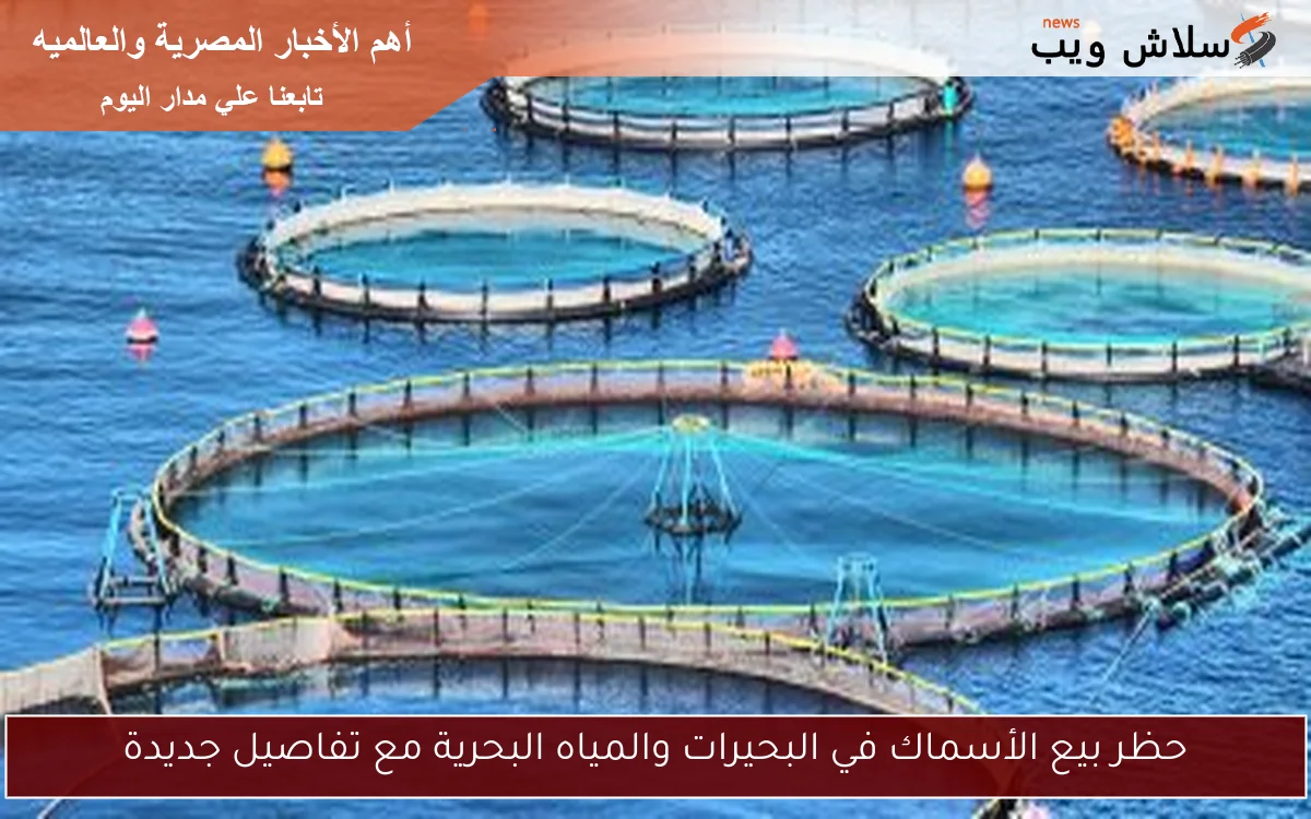حظر بيع الأسماك في البحيرات والمياه البحرية مع تفاصيل جديدة