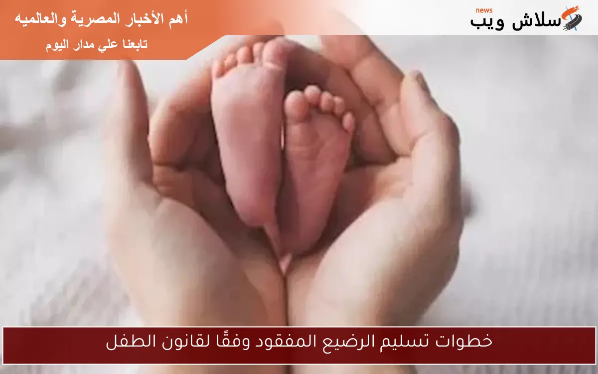 خطوات تسليم الرضيع المفقود وفقًا لقانون الطفل 2 خطوات تسليم الرضيع المفقود وفقًا لقانون الطفل
