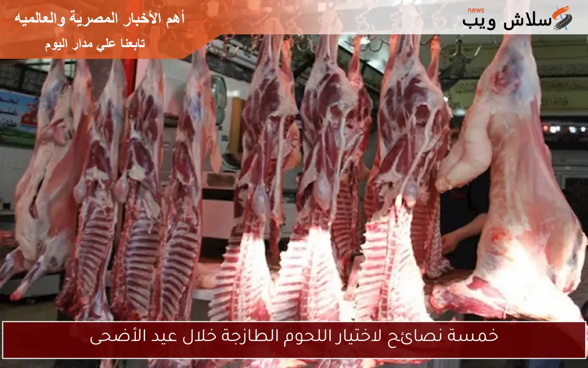 خمسة نصائح لاختيار اللحوم الطازجة خلال عيد الأضحى 2 خمسة نصائح لاختيار اللحوم الطازجة خلال عيد الأضحى
