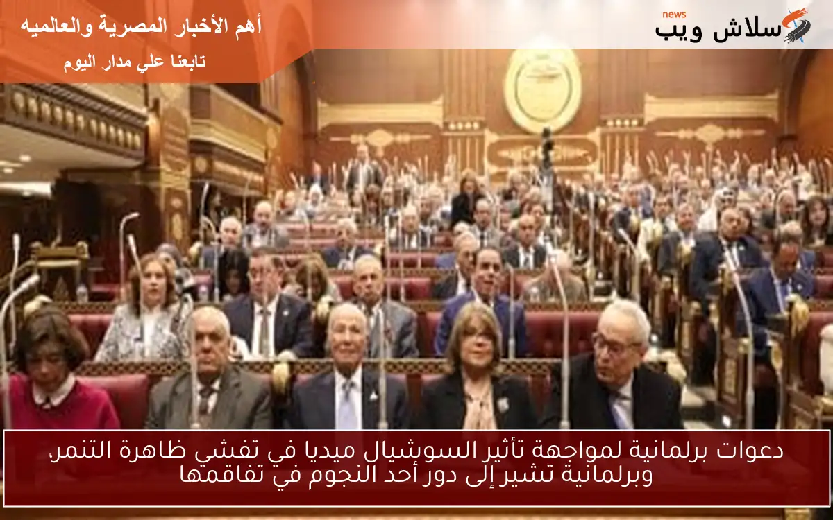 دعوات برلمانية لمواجهة تأثير السوشيال ميديا في تفشي ظاهرة التنمر، وبرلمانية تشير إلى دور أحد النجوم في تفاقمها