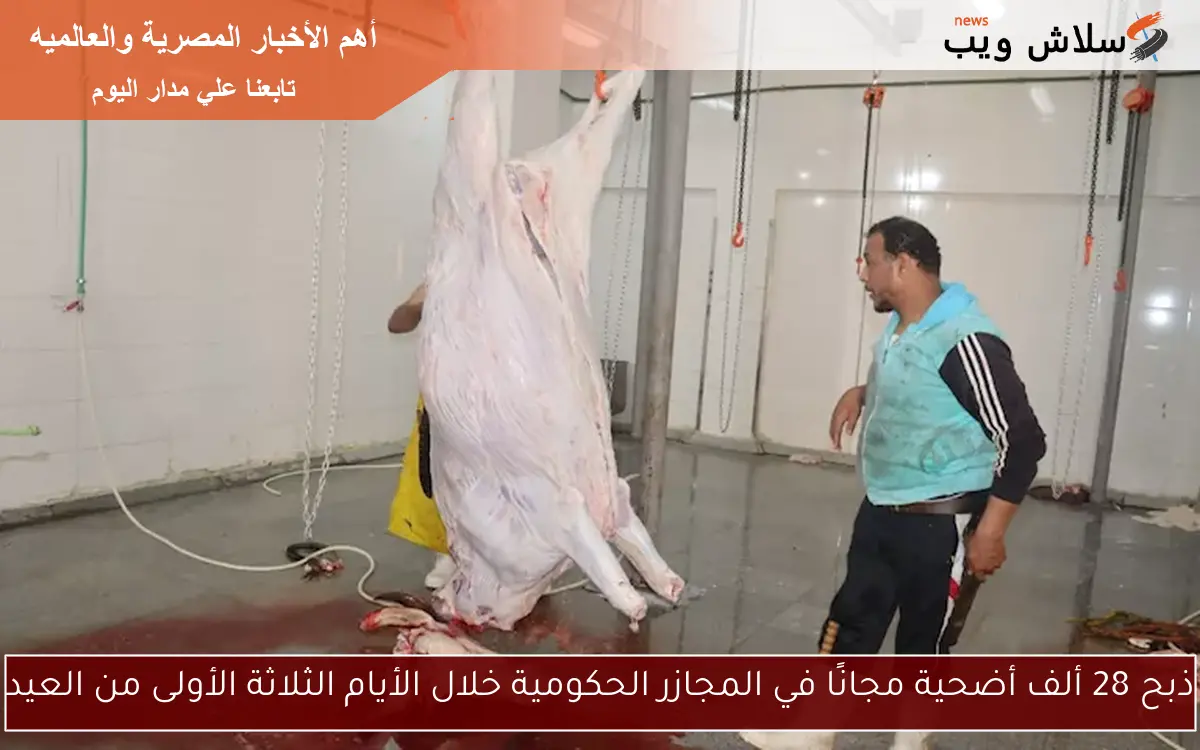 ذبح 28 ألف أضحية مجانًا في المجازر الحكومية خلال الأيام الثلاثة الأولى من العيد 2 ذبح 28 ألف أضحية مجانًا في المجازر الحكومية خلال الأيام الثلاثة الأولى من العيد