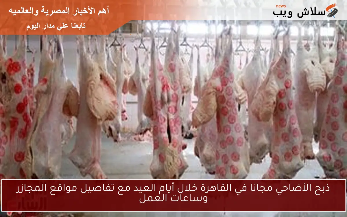 ذبح الأضاحي مجانا في القاهرة خلال أيام العيد مع تفاصيل مواقع المجازر وساعات العمل 2 ذبح الأضاحي مجانا في القاهرة خلال أيام العيد مع تفاصيل مواقع المجازر وساعات العمل