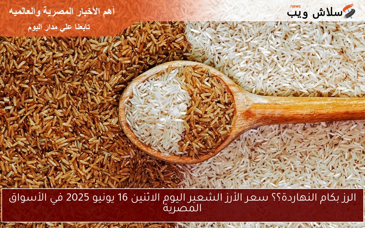 الرز بكام النهاردة؟؟ سعر الأرز الشعير اليوم الاثنين 16 يونيو 2025 في الأسواق المصرية 2 الرز بكام النهاردة؟؟ سعر الأرز الشعير اليوم الاثنين 16 يونيو 2025 في الأسواق المصرية