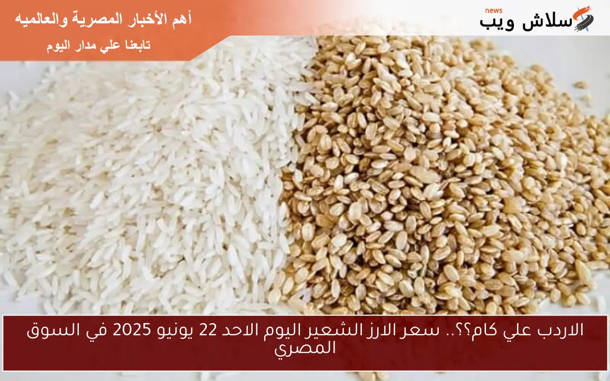 الاردب علي كام؟؟.. سعر الارز الشعير اليوم الاحد 22 يونيو 2025 في السوق المصري