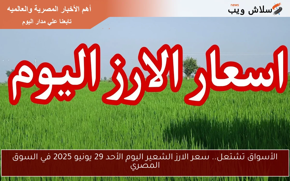 الأسواق تشتعل.. سعر الارز الشعير اليوم الأحد 29 يونيو 2025 في السوق المصري