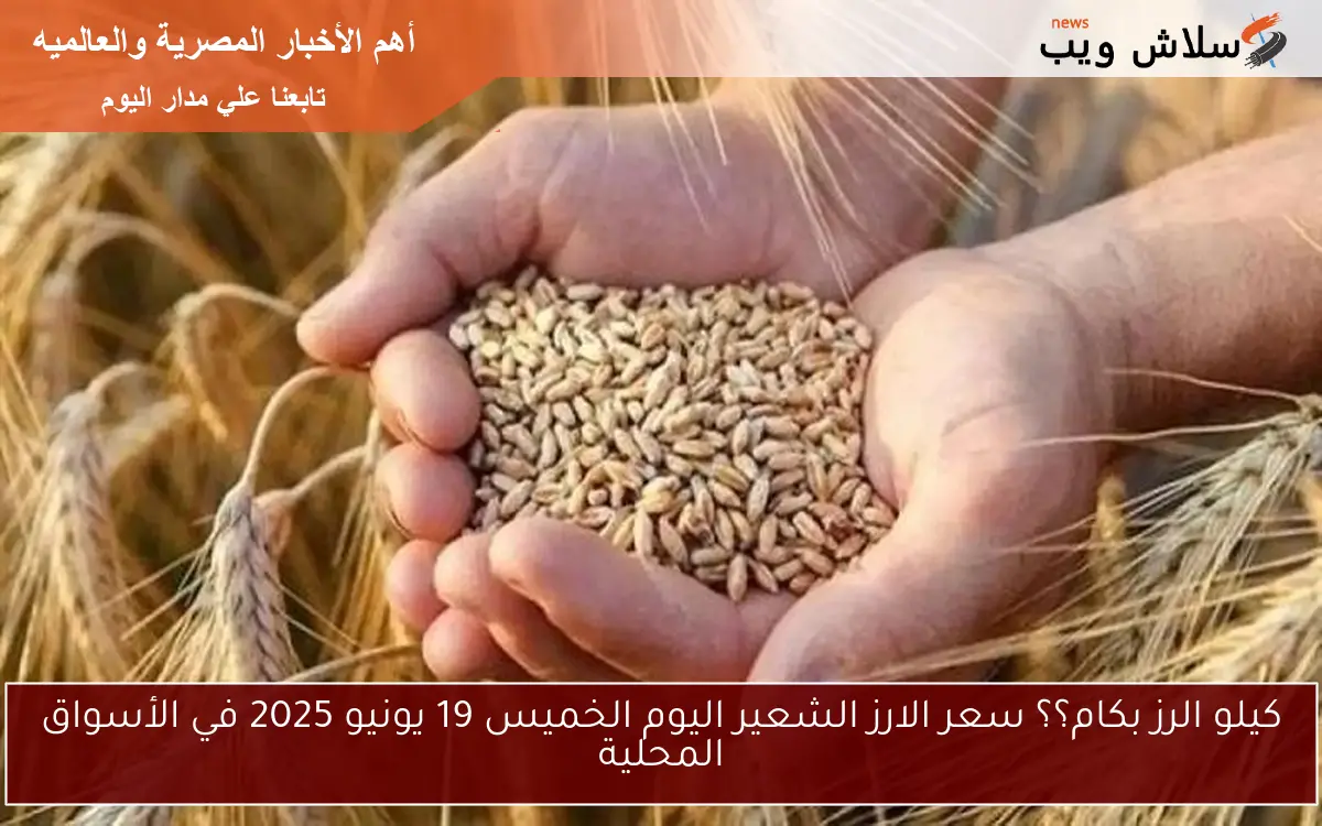 كيلو الرز بكام؟؟ سعر الارز الشعير اليوم الخميس 19 يونيو 2025 في الأسواق المحلية