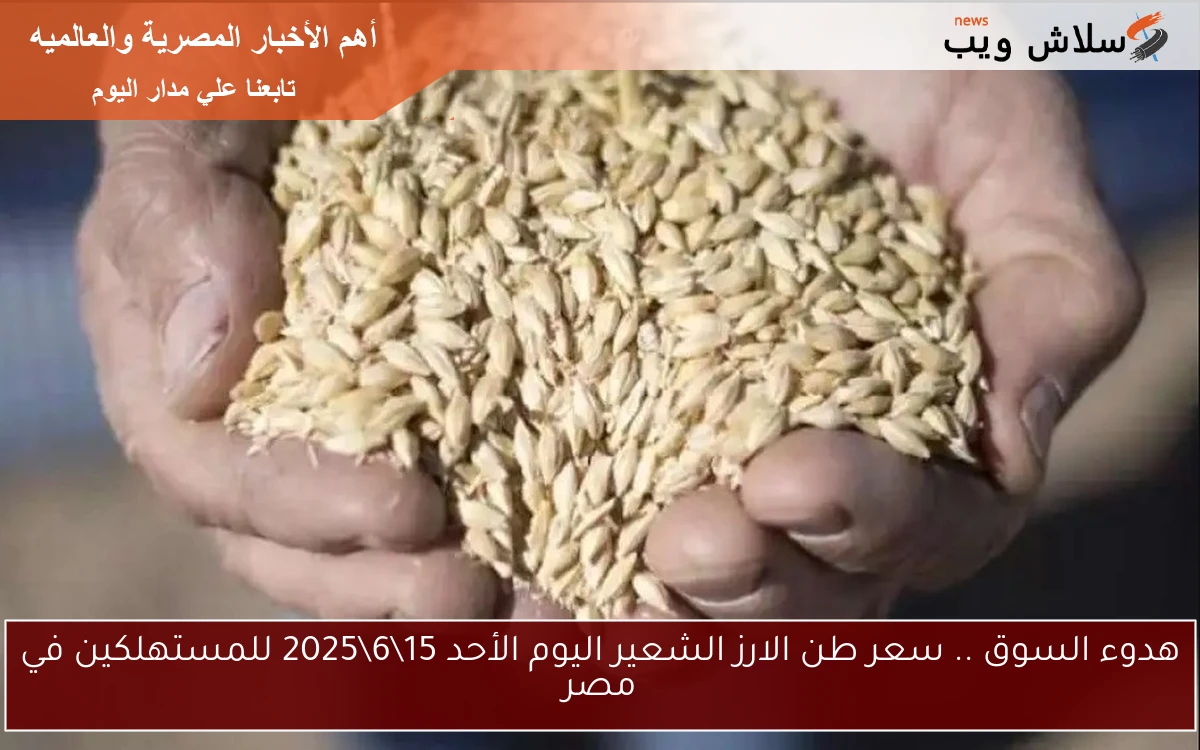 هدوء السوق .. سعر طن الارز الشعير اليوم الأحد 1562025 للمستهلكين في مصر 2 هدوء السوق .. سعر طن الارز الشعير اليوم الأحد 15\6\2025 للمستهلكين في مصر