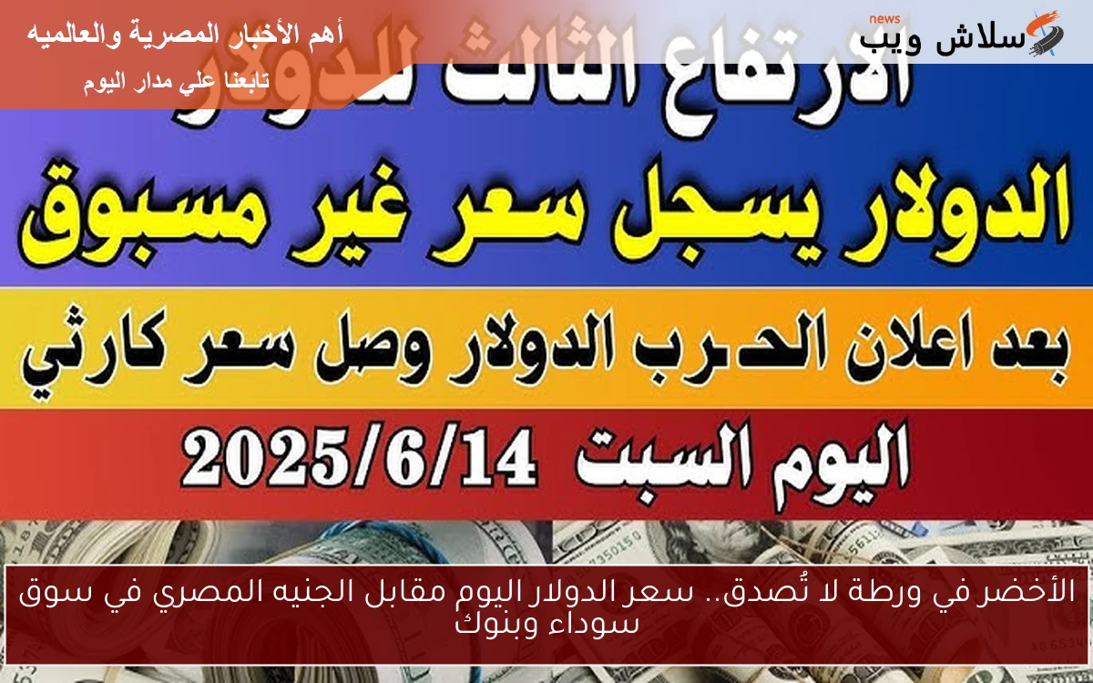 الورقة الخضرا بكام؟؟ سعر الدولار اليوم مقابل الجنيه المصري اليوم الخميس 2025/6/12 في السوق السوداء 2 الورقة الخضرا بكام؟؟ سعر الدولار اليوم مقابل الجنيه المصري اليوم الخميس 2025/6/12 في السوق السوداء