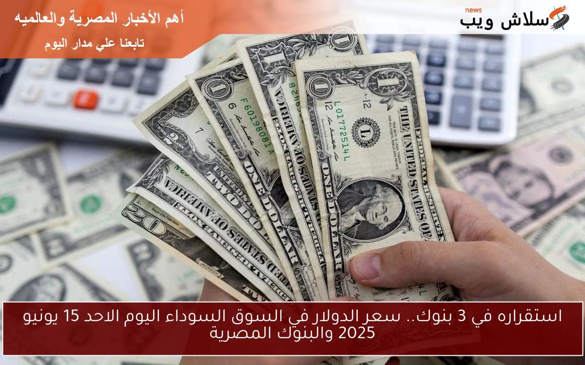 استقراره في 3 بنوك.. سعر الدولار في السوق السوداء اليوم الاحد 15 يونيو 2025 والبنوك المصرية 2 استقراره في 3 بنوك.. سعر الدولار في السوق السوداء اليوم الاحد 15 يونيو 2025 والبنوك المصرية