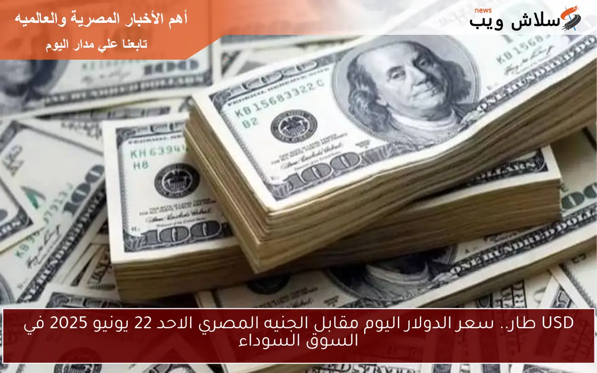 USD طار.. سعر الدولار اليوم مقابل الجنيه المصري الاحد 22 يونيو 2025 في السوق السوداء