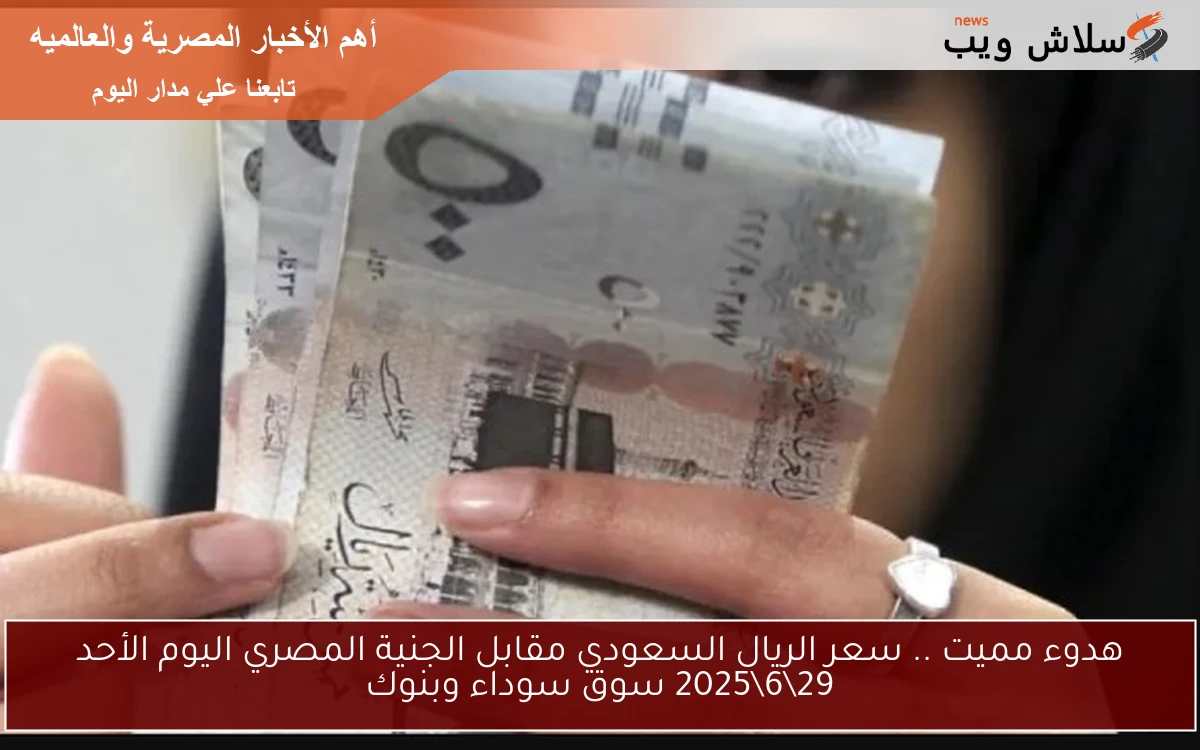 هدوء مميت .. سعر الريال السعودي مقابل الجنية المصري اليوم الأحد 29\6\2025 سوق سوداء وبنوك