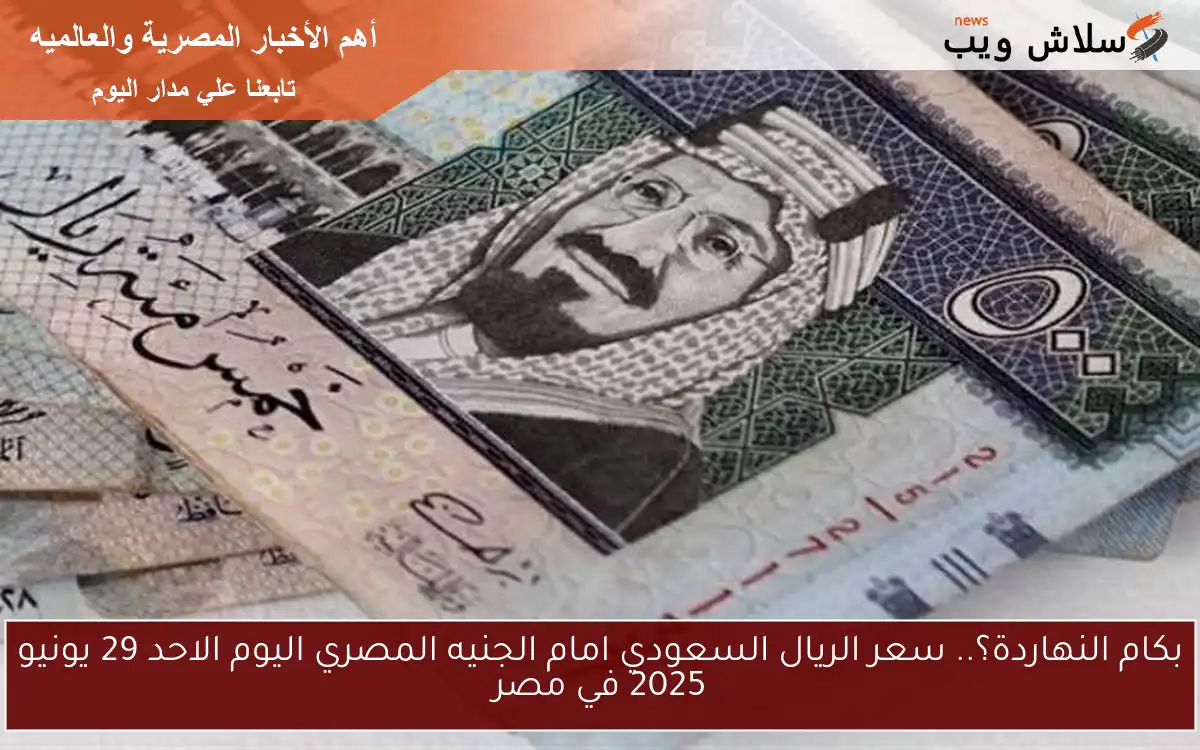 بكام النهاردة؟.. سعر الريال السعودي امام الجنيه المصري اليوم الاحد 29 يونيو 2025 في مصر