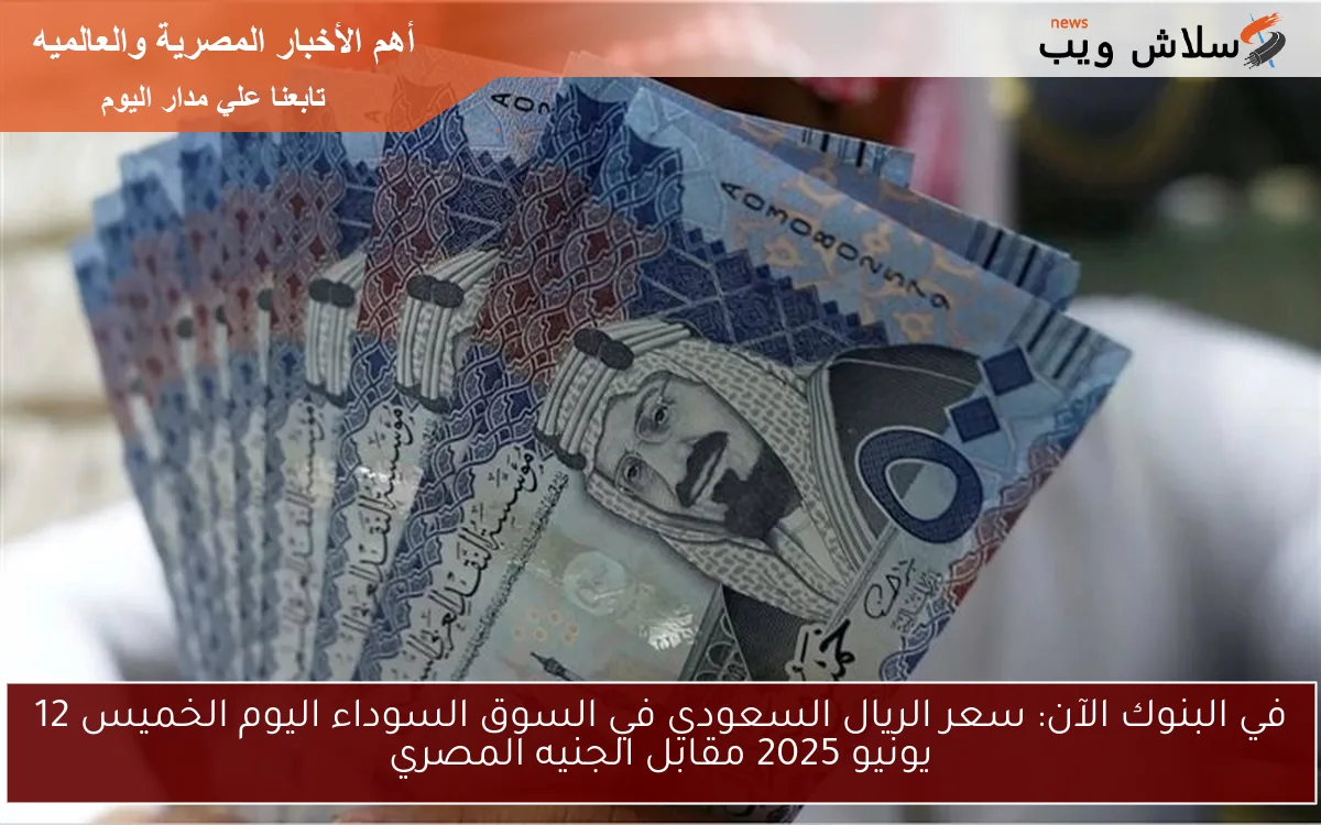 في البنوك الآن: سعر الريال السعودي في السوق السوداء اليوم الخميس 12 يونيو 2025 مقابل الجنيه المصري 2 في البنوك الآن: سعر الريال السعودي في السوق السوداء اليوم الخميس 12 يونيو 2025 مقابل الجنيه المصري