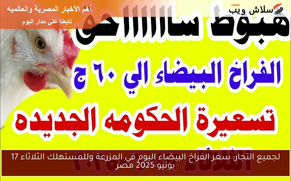 لجميع التجار: سعر الفراخ البيضاء اليوم في المزرعة وللمستهلك الثلاثاء 17 يونيو 2025 مصر