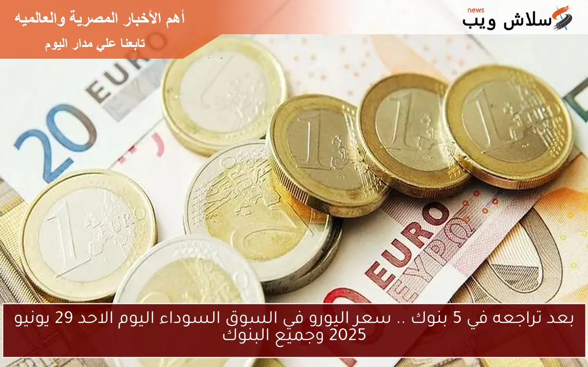 بعد تراجعه في 5 بنوك .. سعر اليورو في السوق السوداء اليوم الاحد 29 يونيو 2025 وجميع البنوك