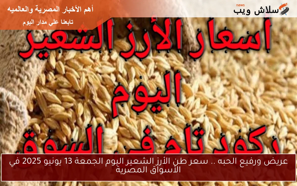 عريض ورفيع الحبه .. سعر طن الأرز الشعير اليوم الجمعة 13 يونيو 2025 في الأسواق المصرية 2 عريض ورفيع الحبه .. سعر طن الأرز الشعير اليوم الجمعة 13 يونيو 2025 في الأسواق المصرية