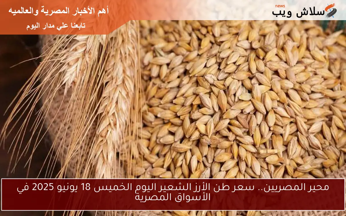 محير المصريين.. سعر طن الأرز الشعير اليوم الخميس 18 يونيو 2025 في الأسواق المصرية