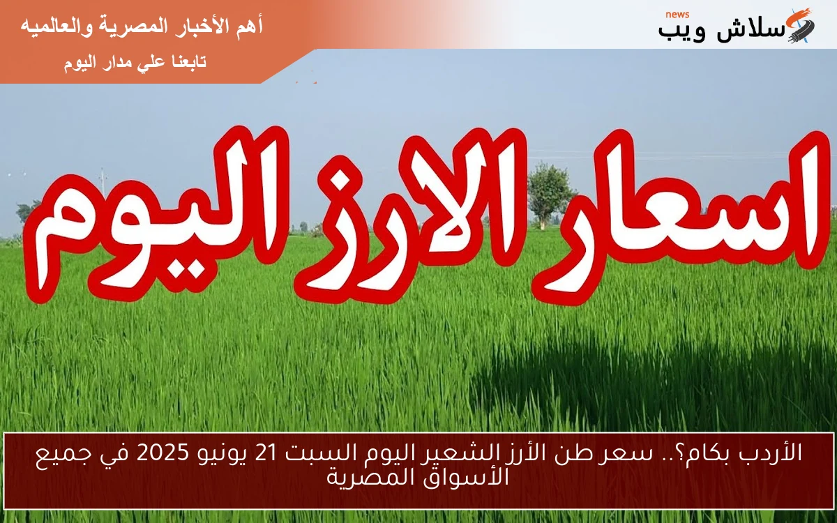 الأردب بكام؟.. سعر طن الأرز الشعير اليوم السبت 21 يونيو 2025 في جميع الأسواق المصرية