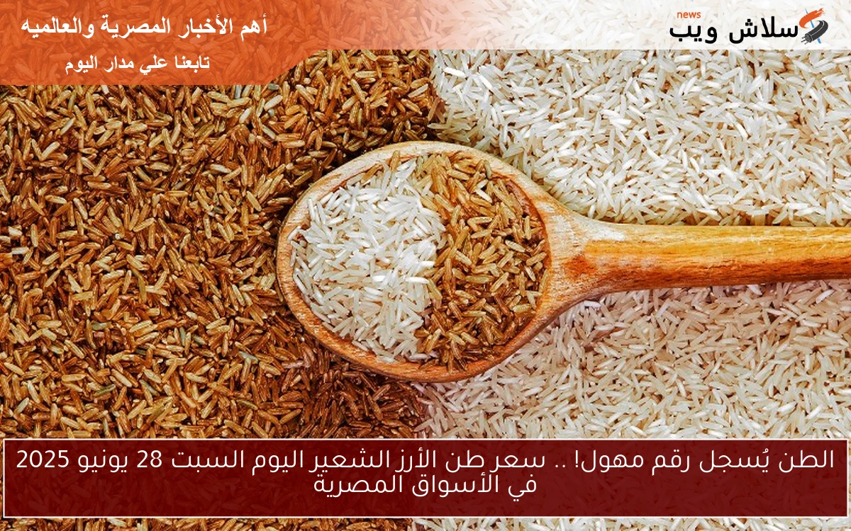 الطن يُسجل رقم مهول! .. سعر طن الأرز الشعير اليوم السبت 28 يونيو 2025 في الأسواق المصرية