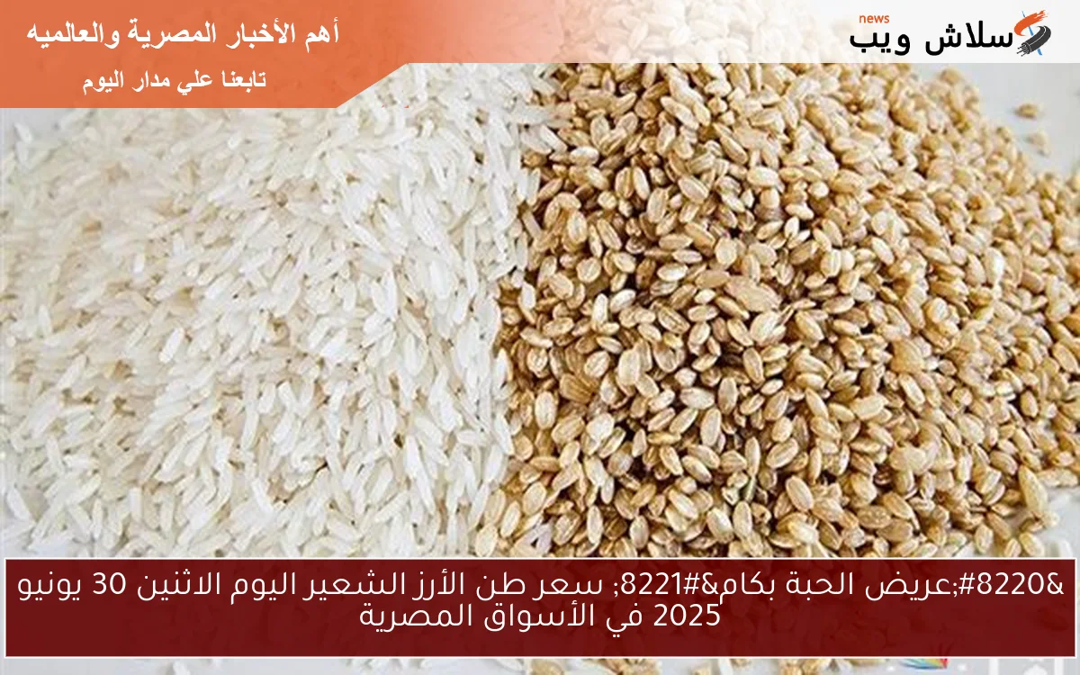 “عريض الحبة بكام” سعر طن الأرز الشعير اليوم الاثنين 30 يونيو 2025 في الأسواق المصرية