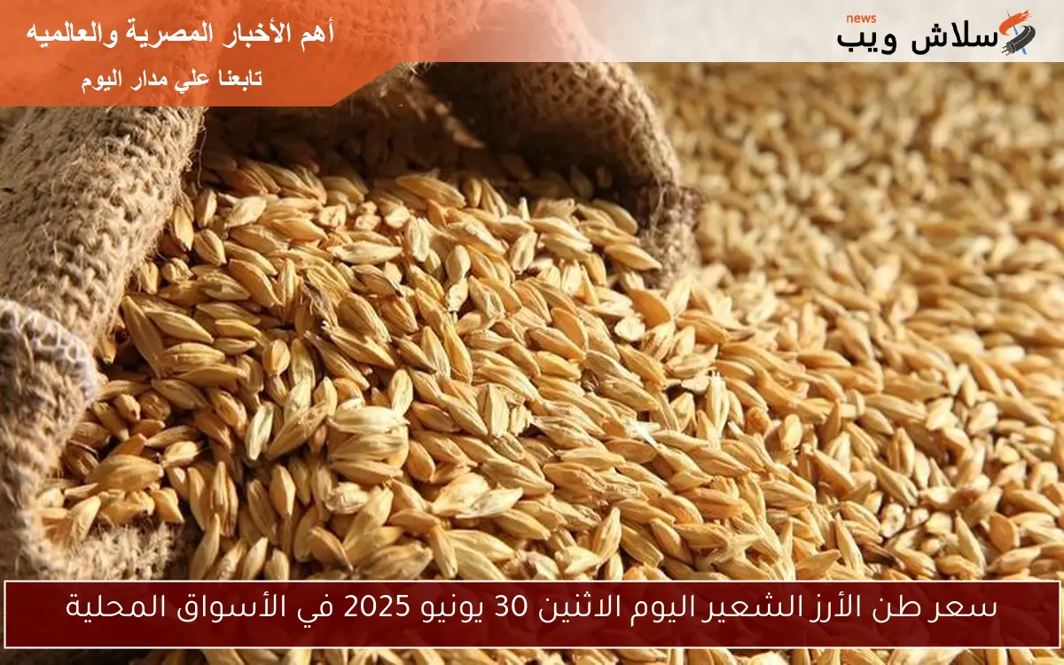 سعر طن الأرز الشعير اليوم الاثنين 30 يونيو 2025 في الأسواق المحلية