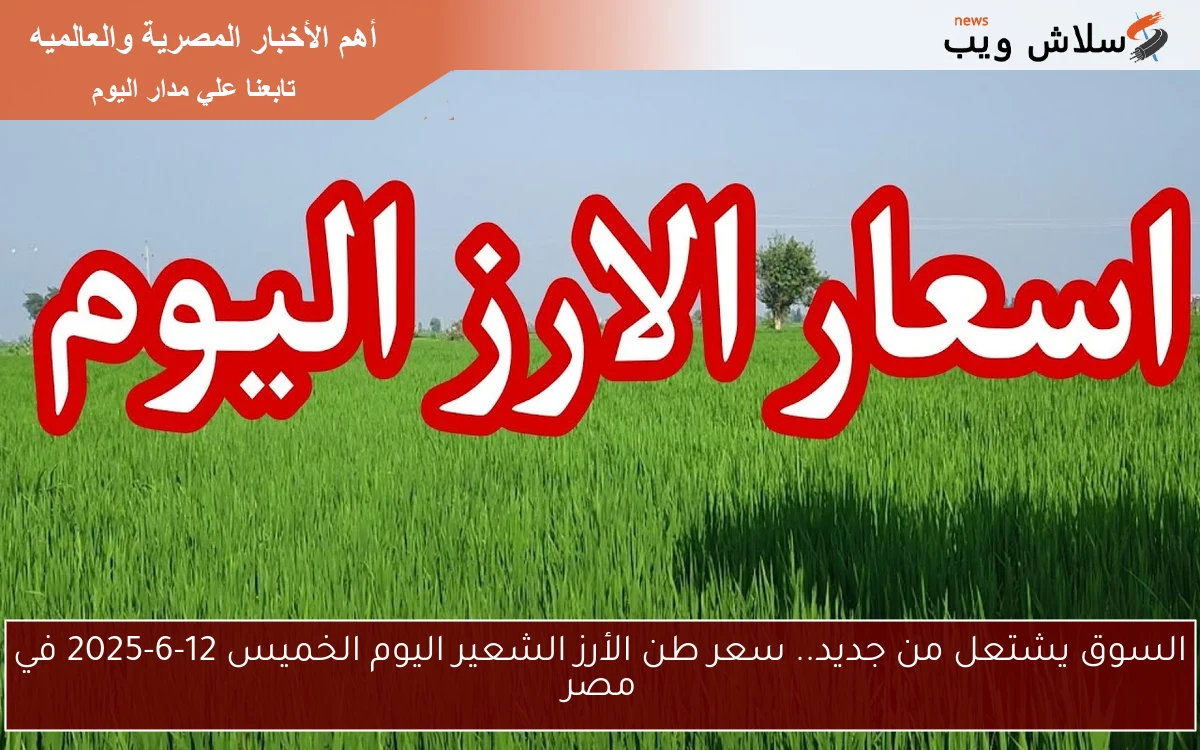 السوق يشتعل من جديد.. سعر طن الأرز الشعير اليوم الخميس 12-6-2025 في مصر 2 السوق يشتعل من جديد.. سعر طن الأرز الشعير اليوم الخميس 12-6-2025 في مصر