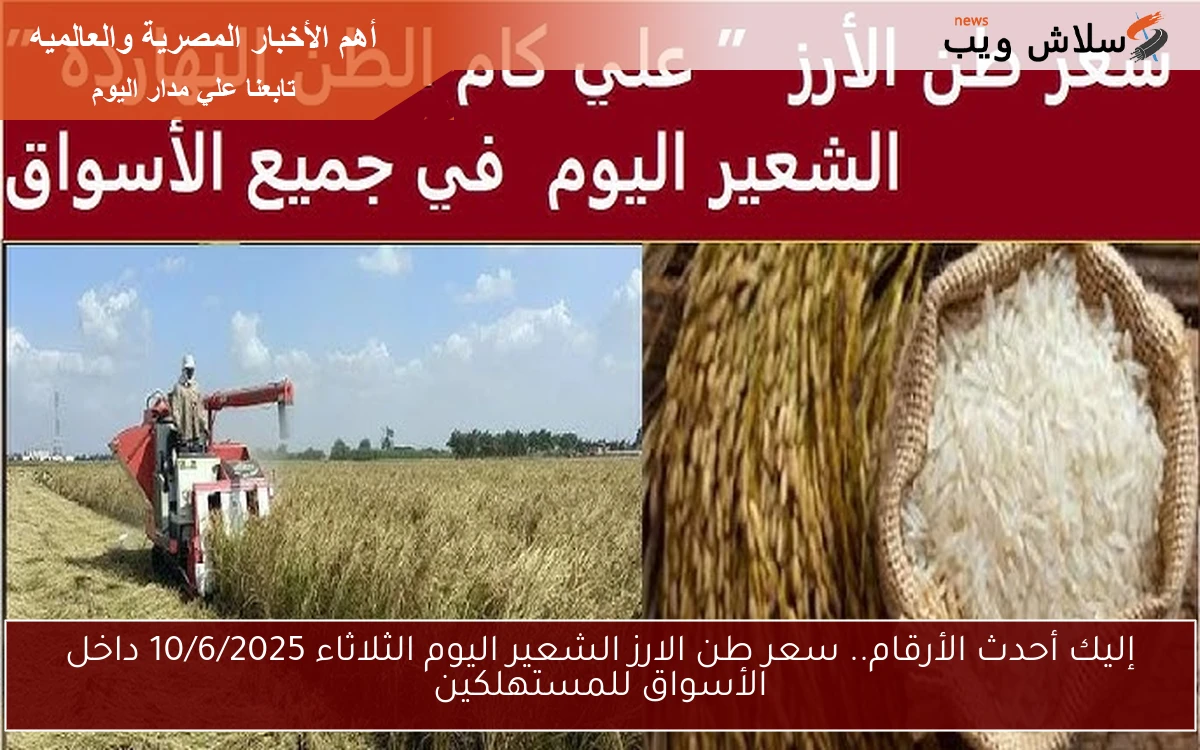 إليك أحدث الأرقام.. سعر طن الارز الشعير اليوم الثلاثاء 10/6/2025 داخل الأسواق للمستهلكين 2 إليك أحدث الأرقام.. سعر طن الارز الشعير اليوم الثلاثاء 10/6/2025 داخل الأسواق للمستهلكين