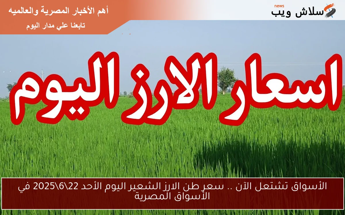 الأسواق تشتعل الآن .. سعر طن الارز الشعير اليوم الأحد 22\6\2025 في الأسواق المصرية