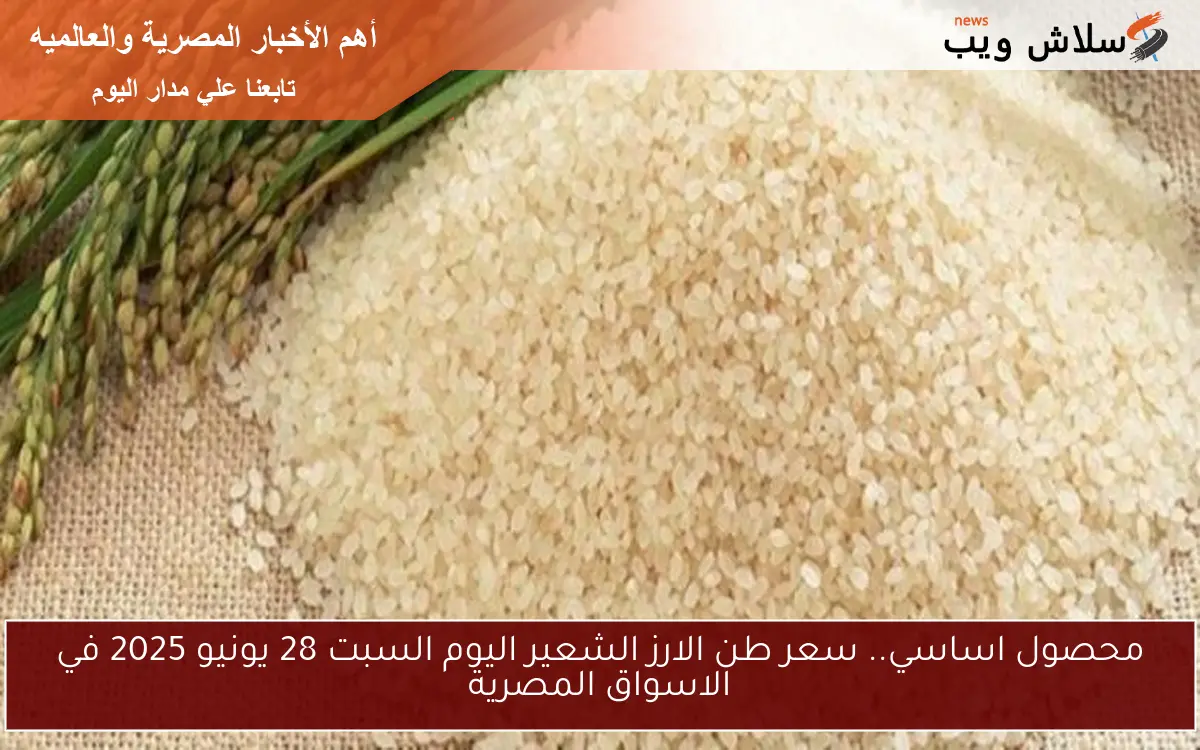 محصول اساسي.. سعر طن الارز الشعير اليوم السبت 28 يونيو 2025 في الاسواق المصرية
